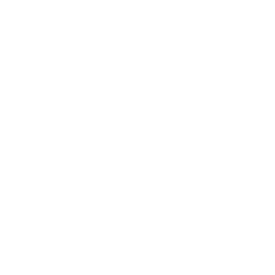 Women's-Clothing Icon